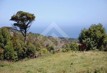 Parcela en  Los Muermos, Llanquihue