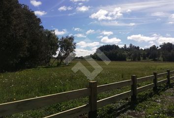 Parcela en  Puerto Montt, Llanquihue