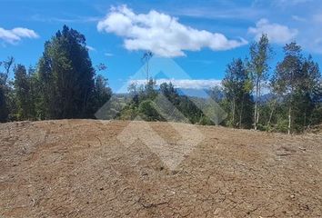 Parcela en  Puerto Montt, Llanquihue