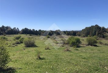 Parcela en  Ancud, Chiloé