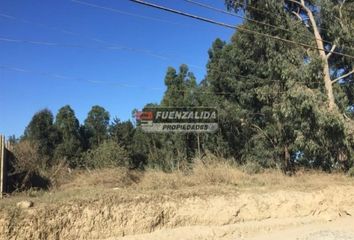 Bodega en  Viña Del Mar, Valparaíso