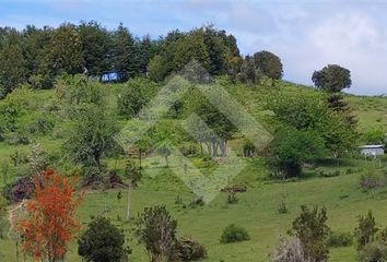 Parcela en  Los Muermos, Llanquihue