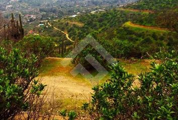 Parcela en  Curacaví, Melipilla