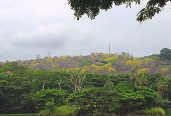 Terreno Comercial en  Guayaquil, Guayas