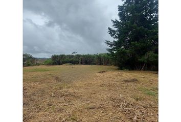 Lote de Terreno en  Campo Bello, Norte, Popayán