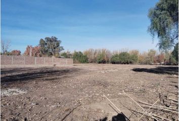 Terrenos en  El Bermejo, Mendoza