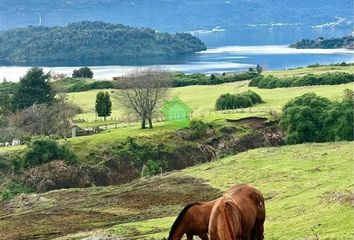 Parcela en  Puyehue, Osorno