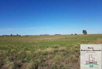 Terrenos en  Bahía Blanca, Provincia De Buenos Aires, Arg