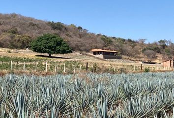 Casa en  San Isidro Mazatepec, Tala