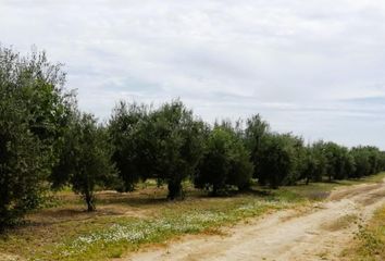 Terreno en  Villamanrique De La Condesa, Sevilla Provincia