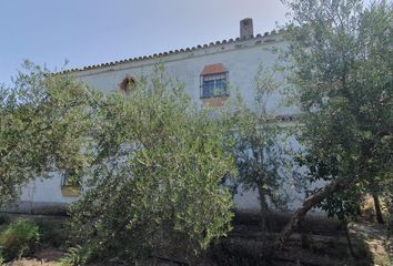 Chalet en  Moron De La Frontera, Sevilla Provincia