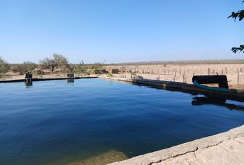 Lote de Terreno en  San Juanico, Comondú