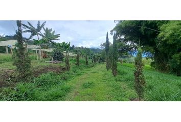 Villa-Quinta en  Fredonia, Antioquia