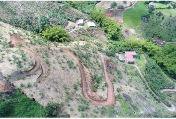 Lote de Terreno en  Cerritos, Pereira