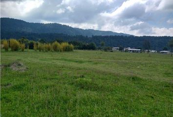 Lote de Terreno en  Temascaltepec, Estado De México