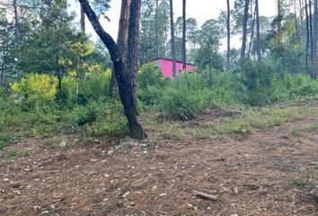 Lote de Terreno en  Avándaro, Valle De Bravo