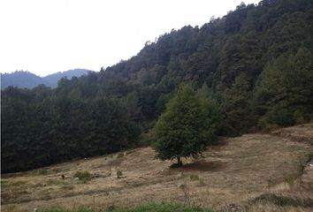 Lote de Terreno en  Valle De Bravo, Valle De Bravo