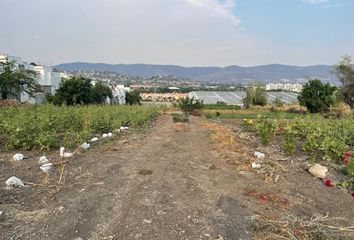 Lote de Terreno en  Miguel Hidalgo, Morelos