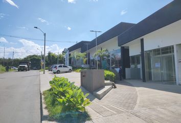 Local Comercial en  Parcelaciones Pance, Cali