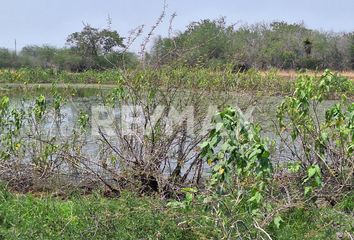 Rancho en  González, Tamaulipas