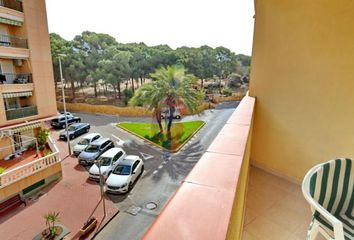 Apartamento en  Guardamar Del Segura, Alicante Provincia