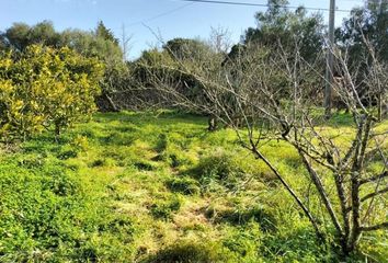 Terreno en  Alaior, Balears (illes)