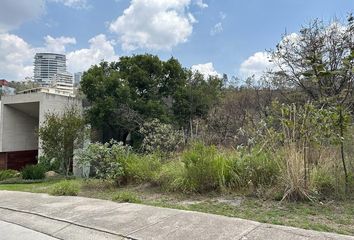 Lote de Terreno en  Calle Boulevard Bosque Real, Bosque Real, Huixquilucan, México, 52774, Mex