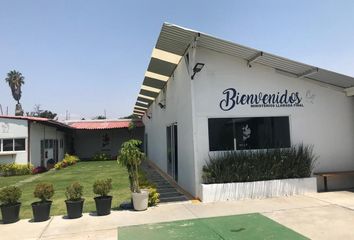 Local comercial en  Calle Escalario, Los Olivos, Tláhuac, Ciudad De México, 13210, Mex