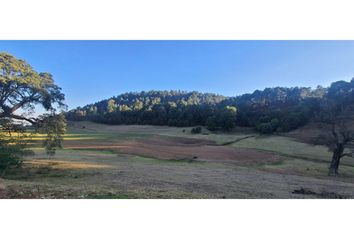 Lote de Terreno en  Tapalpa, Tapalpa, Tapalpa, Jalisco