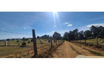 Lote de Terreno en  Tapalpa, Tapalpa, Tapalpa, Jalisco