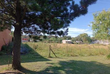 Terrenos en  Centro, Mar Del Plata