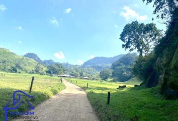 Rancho en  29133, Berriozábal, Chiapas, Mex