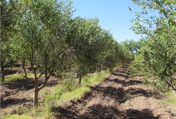 Quinta/Finca en  Costa De Araujo, Mendoza