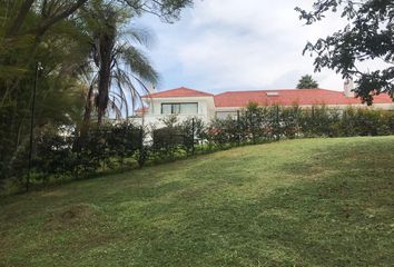 Terreno Comercial en  Cumbayá, Quito