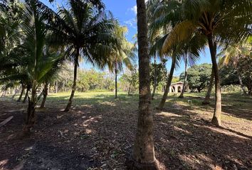 Lote de Terreno en  Veracruz Centro, Municipio Veracruz