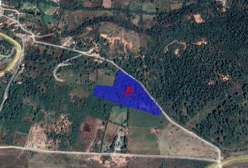 Lote de Terreno en  Tapalpa, Tapalpa, Tapalpa, Jalisco