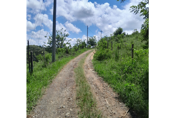 Lote de Terreno en  Mundo Nuevo, Pereira