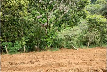 Lote de Terreno en  Copacabana, Antioquia