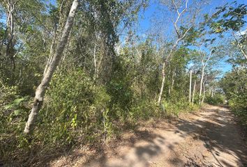 Lote de Terreno en  Bacalar, Bacalar, Bacalar, Quintana Roo