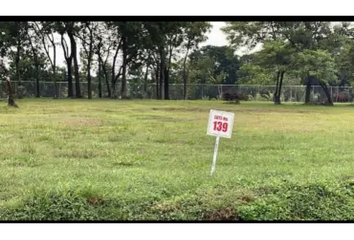 Lotes y Terrenos en  Palmas De Gorgona, Chame