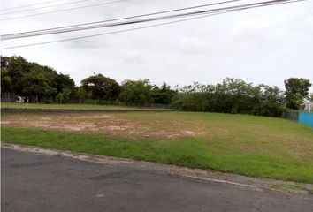 Lotes y Terrenos en  Playa Coronado, Chame