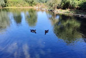 Parcela en  Coihueco, Ñuble (región)