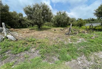 Lote de Terreno en  Yautepec Centro, Yautepec De Zaragoza