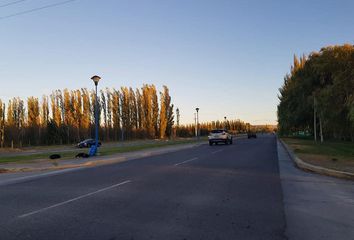 Terrenos en  General Roca, Río Negro