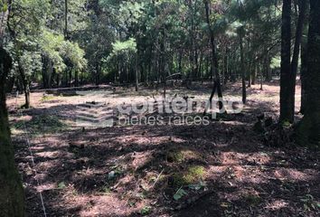 Lote de Terreno en  Santa Ana Jilotzingo, Santa Ana Jilotzingo, Jilotzingo