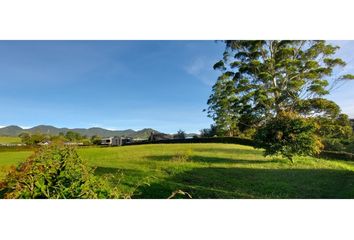 Lote de Terreno en  El Carmen De Viboral, Antioquia