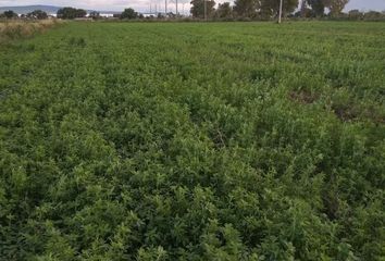 Lote de Terreno en  Santa María Magdalena, Municipio De Querétaro