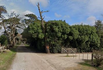 Terrenos en  Villa Primera, Mar Del Plata