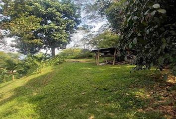 Lote de Terreno en  Centro, Manizales