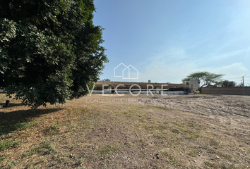 Lote de Terreno en  45679, La Alameda, Jalisco, Mex